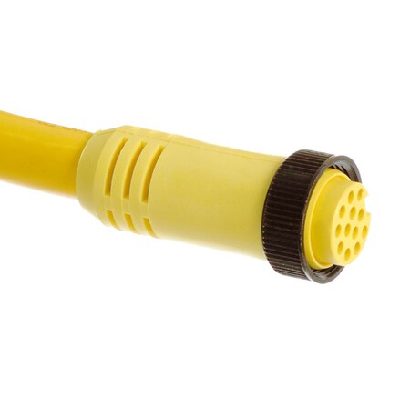 Brad Harrison MC 12P FP 12 ft No 16AWG STOOW 302000A01F120